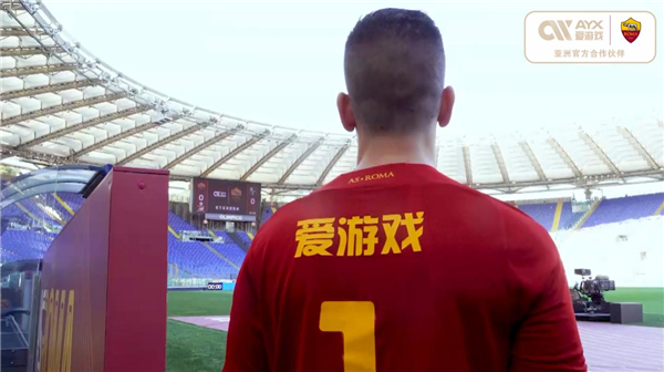 他经济体的